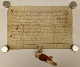Orig. Gnadenbrief Ihro Majestät Elisabetha Königin für das hiesige Bürgerspital (1313)
