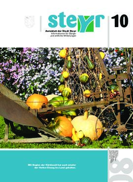 Amtsblatt Jg. 51/Nr. 10: Oktober 2008