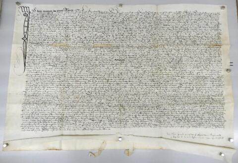 Open original Oggetto digitale