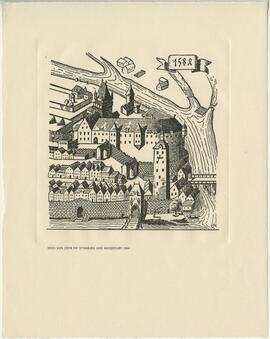 Stich von Steyr mit Styraburg und Wasserturm (1611)