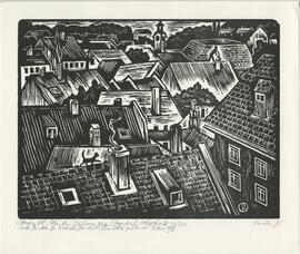 D&auml;cher von Steyrdorf