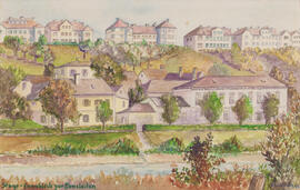 Ennsblick zur Ennsleite (1958)